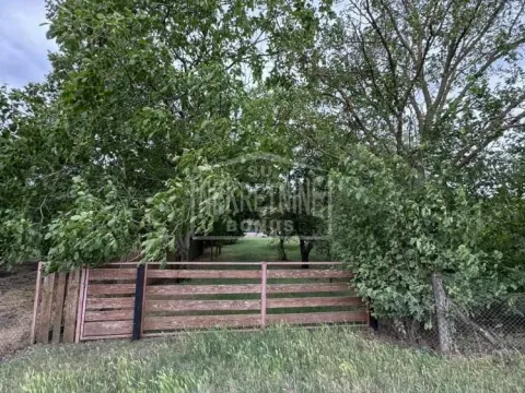 Prodaja, plac, 10000m², Mala Bosna, Subotica - image 8