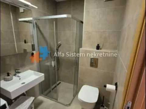Rent, two bedroom apartment, 50m², Južni Bulevar, Vračar Sve Podlokacije - image 8