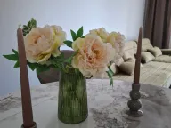 Izdavanje, jednosoban stan, 47m², Stari Aerodrom, Podgorica - image 10