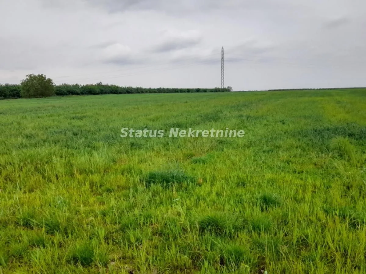 Prodaja, plac, 115m², Futog, Novi Sad Sve Podlokacije