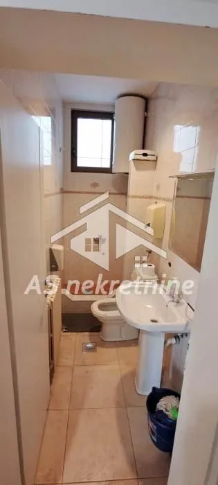 Izdavanje, kuća, 500m², Profesorska Kolonija, Palilula Sve Podlokacije