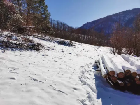 Sale, land lot, 13000m², Knjaževac, Srbija - image 6