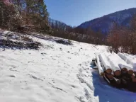 Prodaja, plac, 13000m², Knjaževac, Srbija - image 6