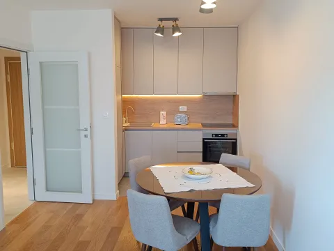 Rent, one bedroom apartment, 49m², Central Point, Podgorica - image 4