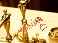 Prodaja, ugostiteljski objekat, 150m², Andrićev Venac, Beograd - image 10