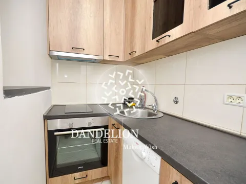 Izdavanje, stan, 25m², Vezirov Most, Podgorica - image 9