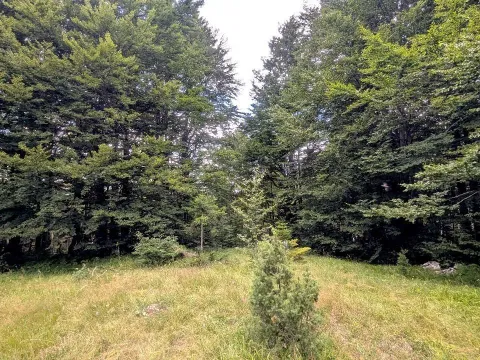 Sale, land lot, 691m², Žabljak, Crna Gora - image 19