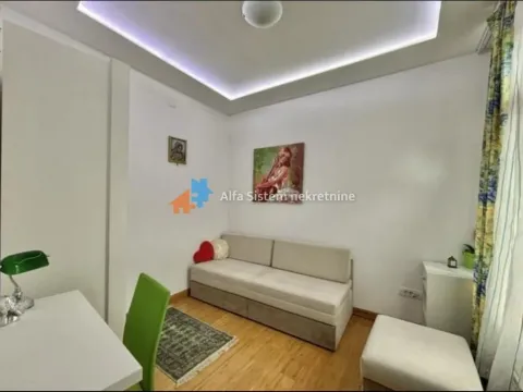 Izdavanje, stan, 60m², Stari Grad, Beograd - image 6