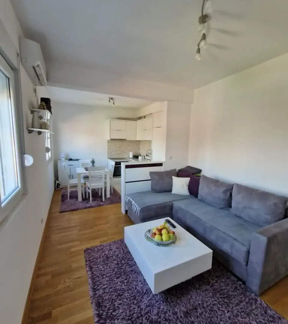 Rent, one bedroom apartment, 46m², Stari Aerodrom, Podgorica