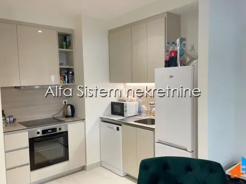 Izdavanje, dvosoban stan, 55m², Savski Venac, Beograd - image 2