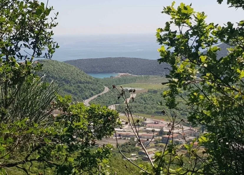Sale, land lot, 6241m², Budva, Crna Gora