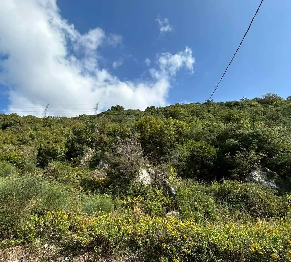 Prodaja, plac, 4500m², Kotor, Crna Gora