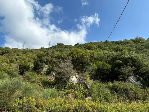 Prodaja, plac, 4500m², Kotor, Crna Gora - image 3