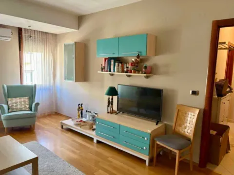 Izdavanje, jednosoban stan, 45m², Centar, Podgorica - image 4