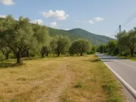 Prodaja, plac, 3100m², Herceg Novi, Crna Gora - image 3