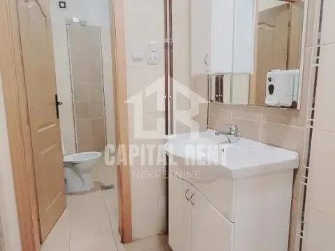 Izdavanje, poslovni prostor, 540m², Južni Bulevar, Vračar Sve Podlokacije - image 4