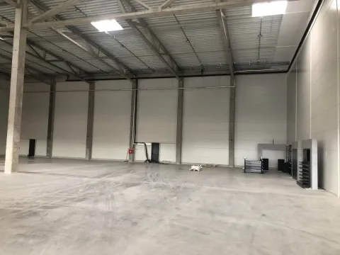 Izdavanje, poslovni prostor, 1300m², Zemun Sve Podlokacije, Beograd - image 3