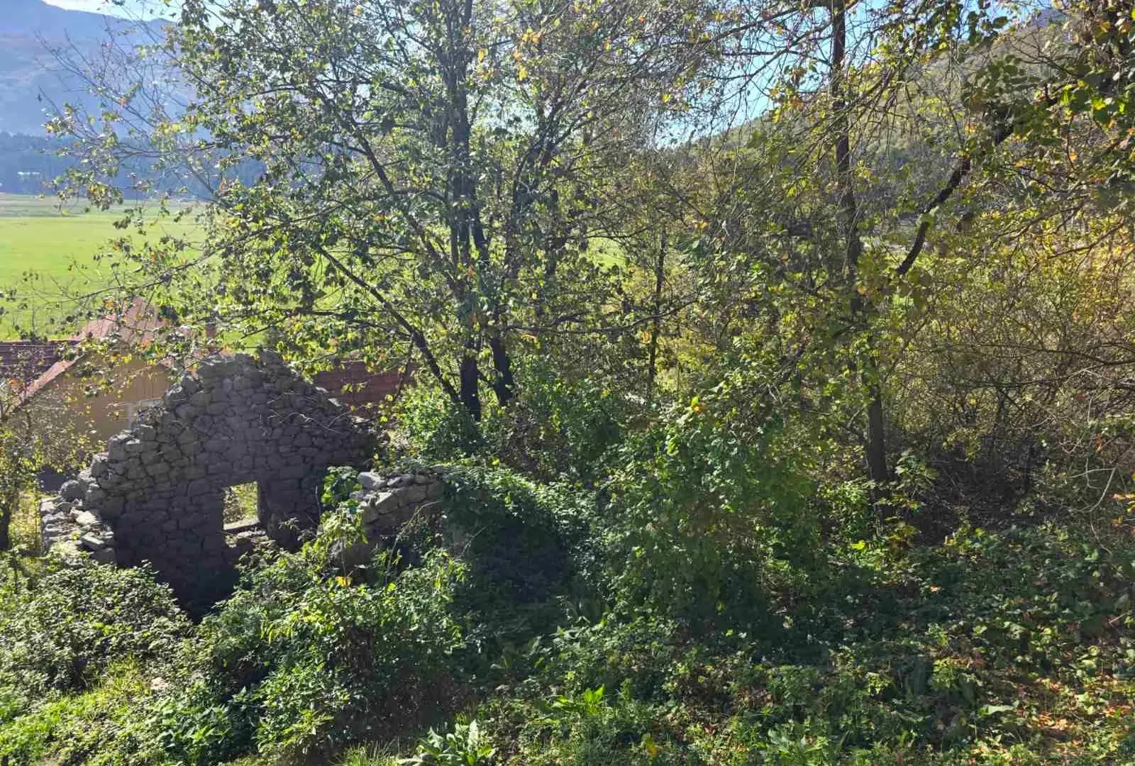 Prodaja, plac, 6000m², Cetinje, Crna Gora