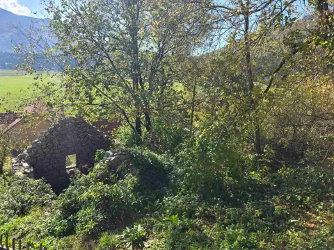 Prodaja, plac, 6000m², Cetinje, Crna Gora - image 2