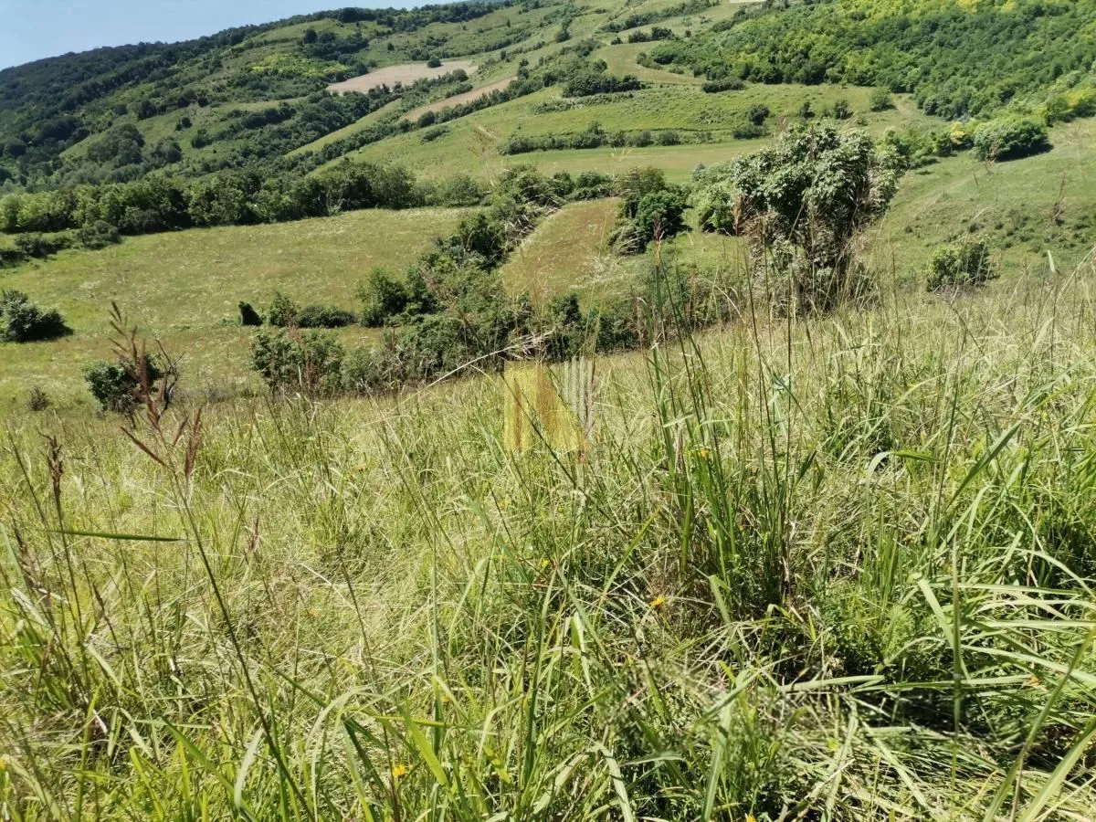 Prodaja, plac, 4204m², Rakovac, Novi Sad Sve Podlokacije