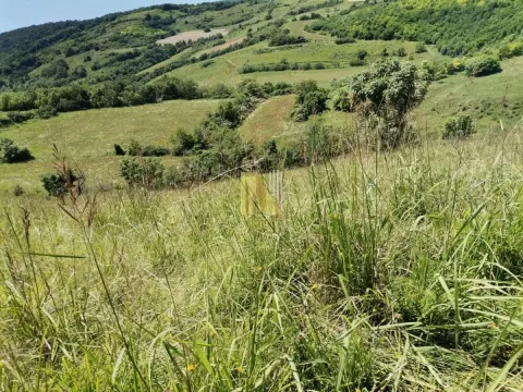 Prodaja, plac, 4200m², Beočin, Srbija - image 3