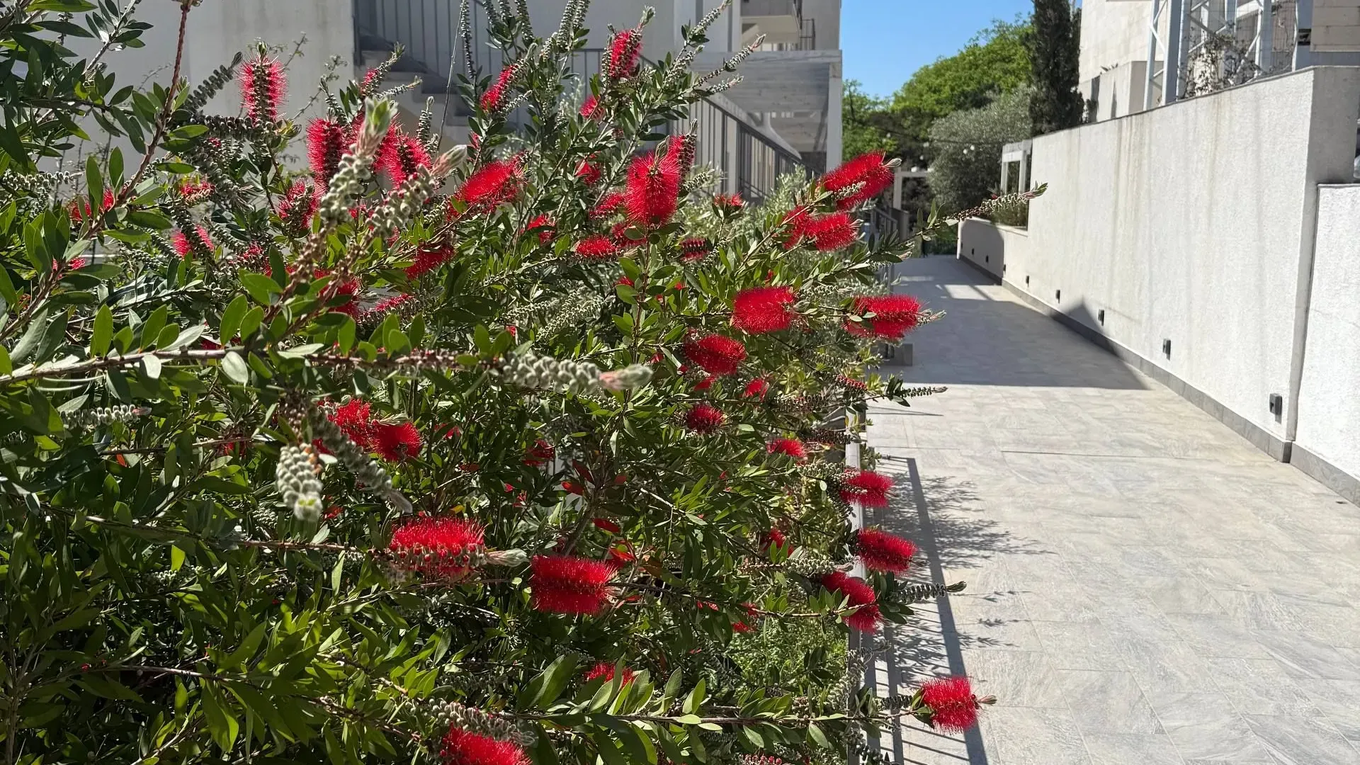 Prodaja, garsonjera, 25m², Pržno, Budva