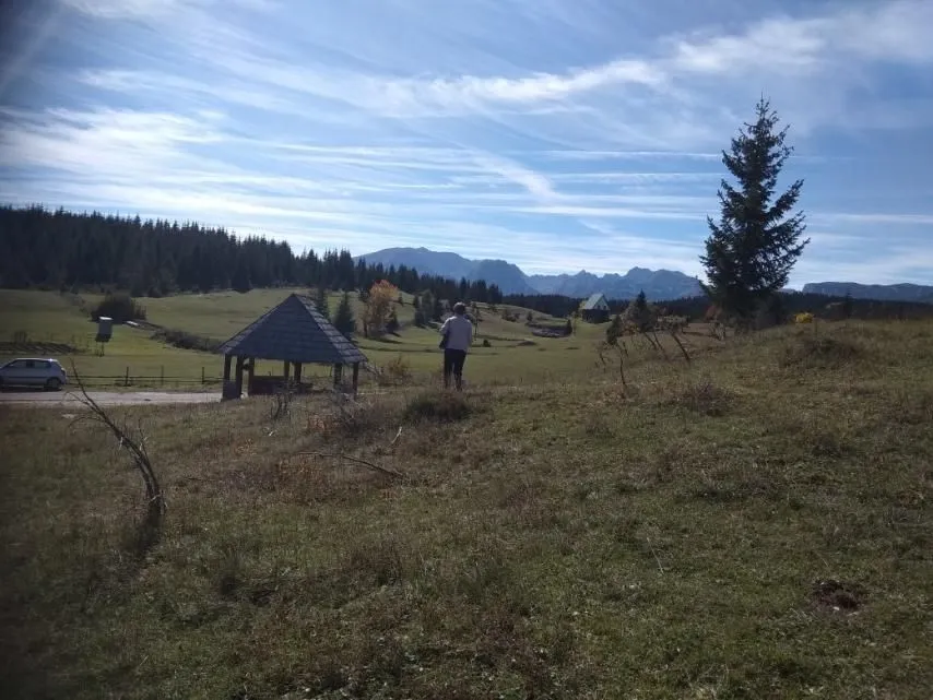 Sale, land lot, 17803m², Žabljak, Crna Gora
