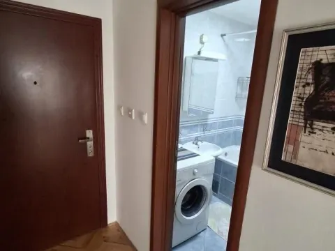 Izdavanje, dvosoban stan, 34m², Nova Detelinara, Novi Sad Sve Podlokacije - image 8