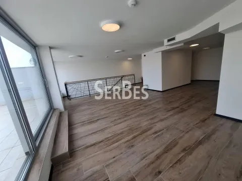 Izdavanje, poslovni prostor, 314m², Liman 3, Novi Sad Sve Podlokacije - image 19