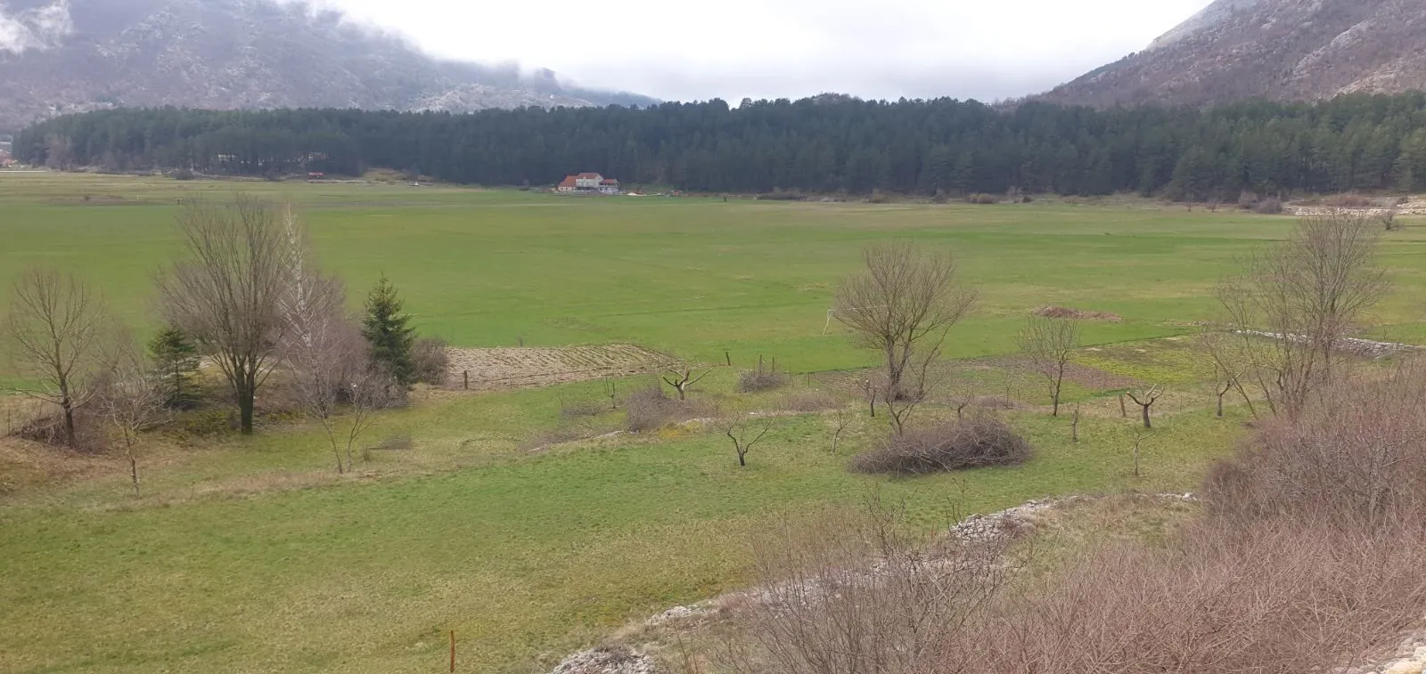 Prodaja, plac, 6000m², Cetinje, Crna Gora