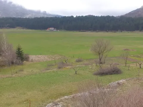 Prodaja, plac, 6000m², Cetinje, Crna Gora - image 10