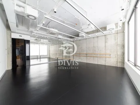 Prodaja, poslovni prostor, 289m², Donji Dorćol, Dorćol Sve Podlokacije - image 2