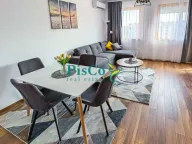 Izdavanje, jednosoban stan, 43m², Stari Aerodrom, Podgorica - image 3