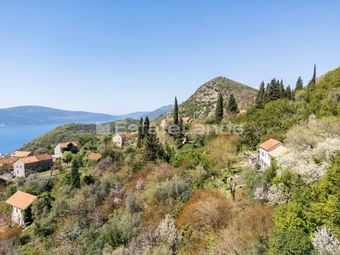 Prodaja, plac, 347m², Gornja Lastva, Tivat - image 6
