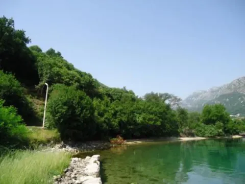 Zelena obala pored mora sa prirodnim okruženjem. - image 2