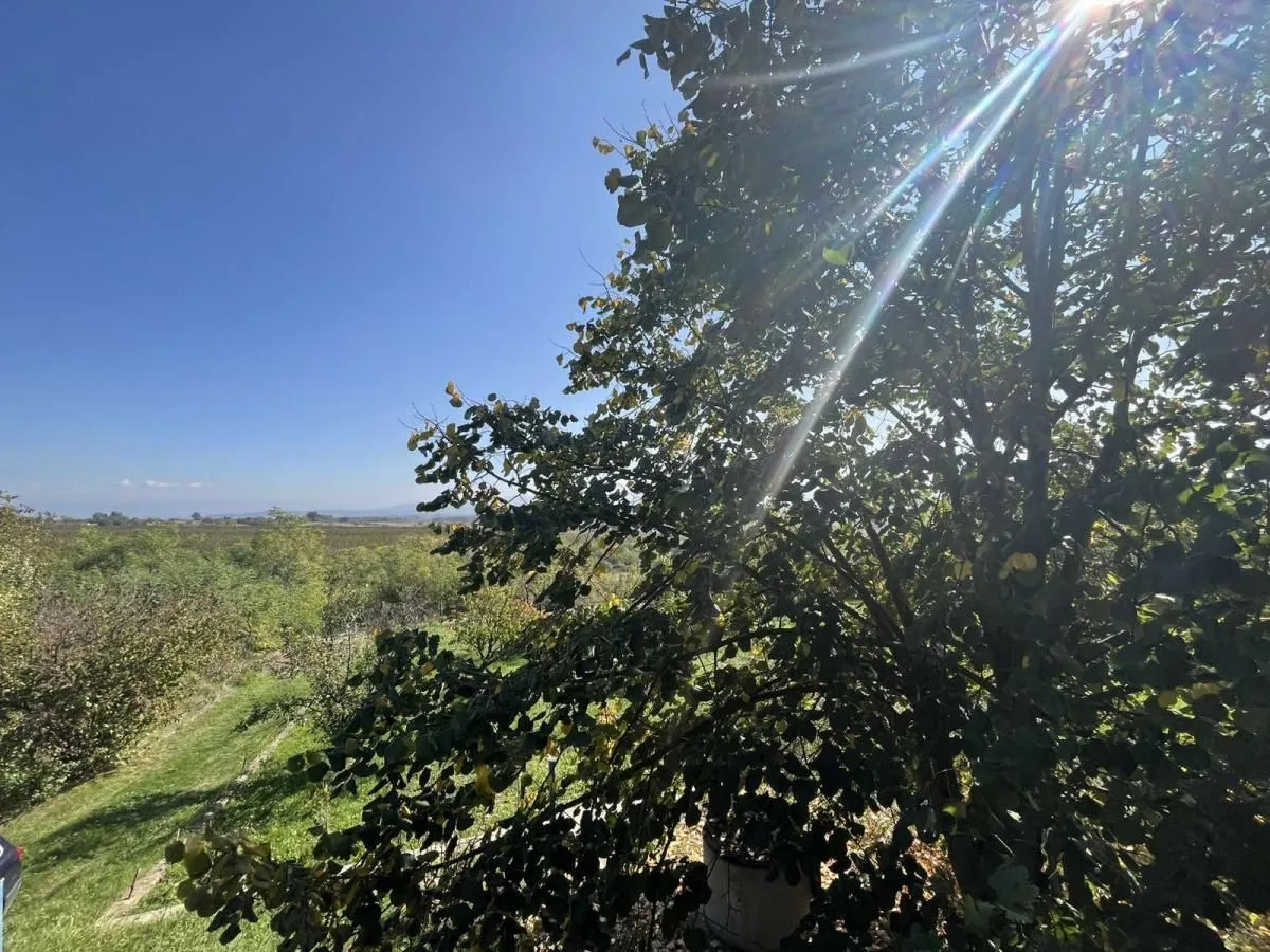Prodaja, kuća, 95m², Siokovac, Jagodina