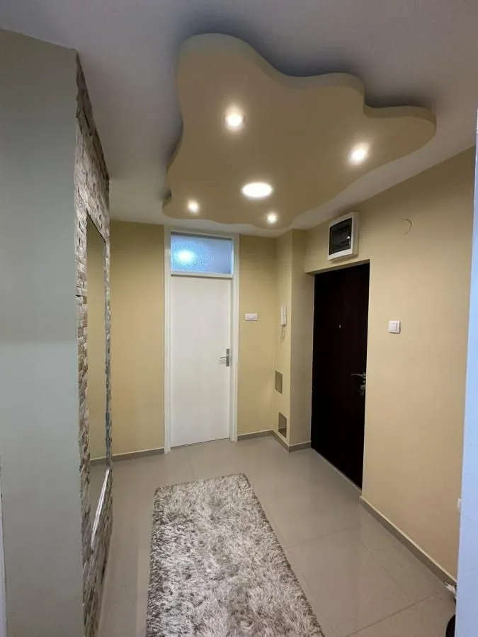 Izdavanje, dvosoban stan, 55m², Bulevar, Niš