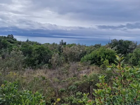 Prodaja, plac, 5000m², Zagora, Kotor - image 2