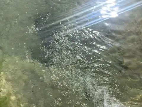 Prodaja, plac, 4650m², Podgorica, Crna Gora - image 7