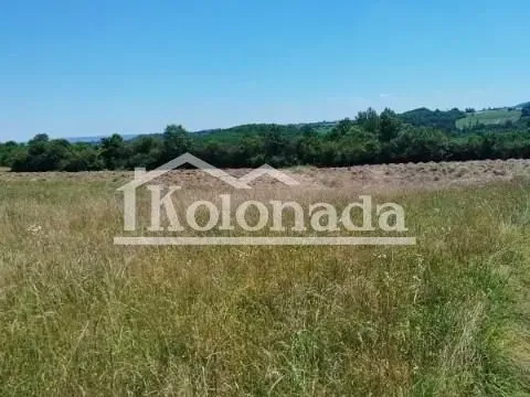 Sale, land lot, 21800m², Babe, Sopot - image 5