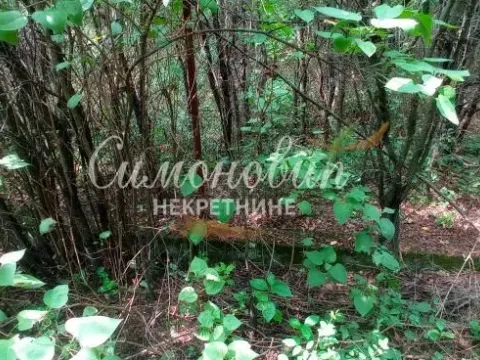 Prodaja, plac, 850m², Surčin, Beograd - image 9