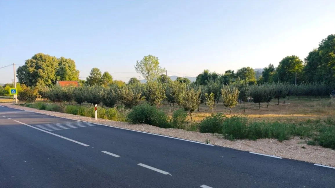 Sale, land lot, 3800m², Martinići, Danilovgrad