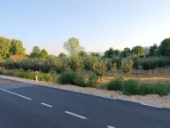 Sale, land lot, 3800m², Martinići, Danilovgrad - image 1