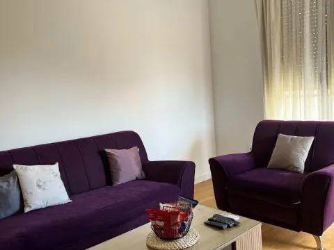 Rent, one bedroom apartment, 47m², Zabjelo, Podgorica - image 1