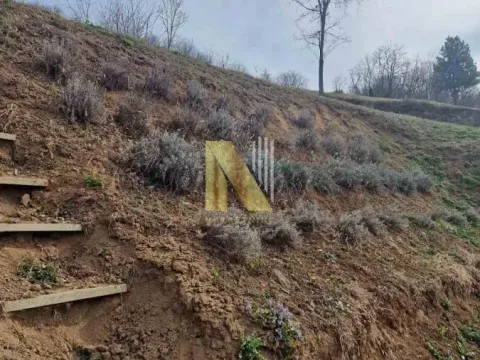 Prodaja, kuća, 16m², Sremski Karlovci, Novi Sad - image 7