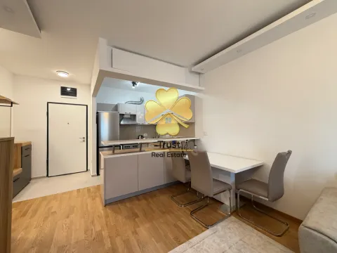 Rent, one bedroom apartment, 50m², Stari Aerodrom, Podgorica - image 3