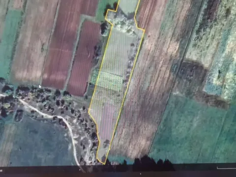 Prodaja, plac, 9129m², Grahovo, Nikšić - image 2