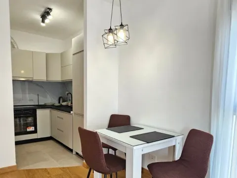 Rent, one bedroom apartment, 48m², New City, Podgorica - image 3