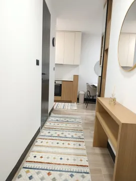 Rent, one bedroom apartment, 43m², Zagorič, Podgorica - image 5