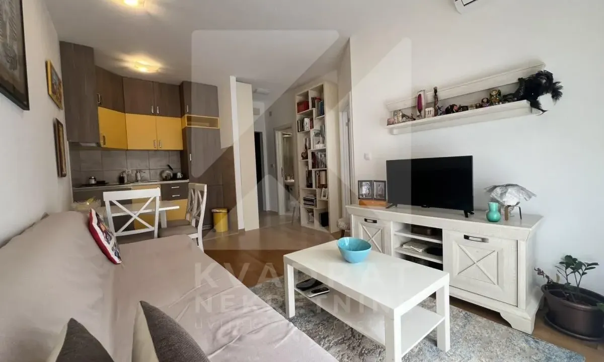 Rent, one bedroom apartment, 30m², Zabjelo, Podgorica